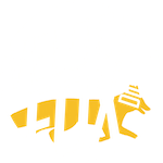 Velocifox Digital Marketing Logo
